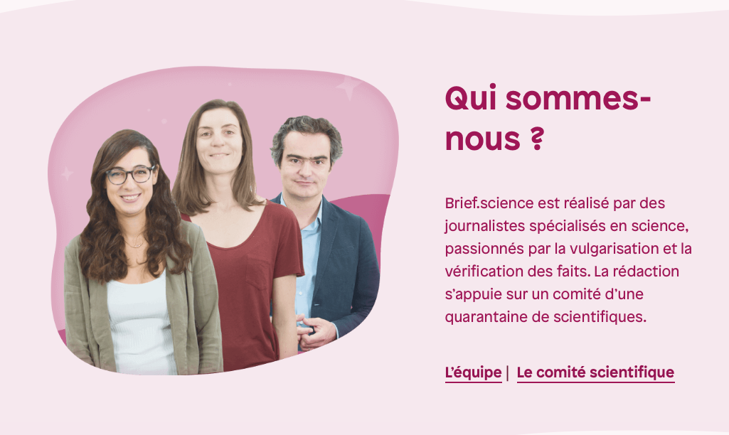 Tester son projet : bêta-tester, l’exemple de Brief.me